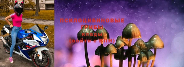Альфа ПВП Осташков