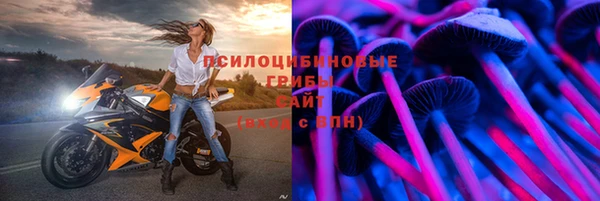 Альфа ПВП Осташков