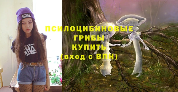 бутират Осинники